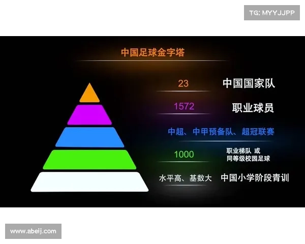 中国足球的青训系统:问题与对策 中国足球的青训系统:问题与对策